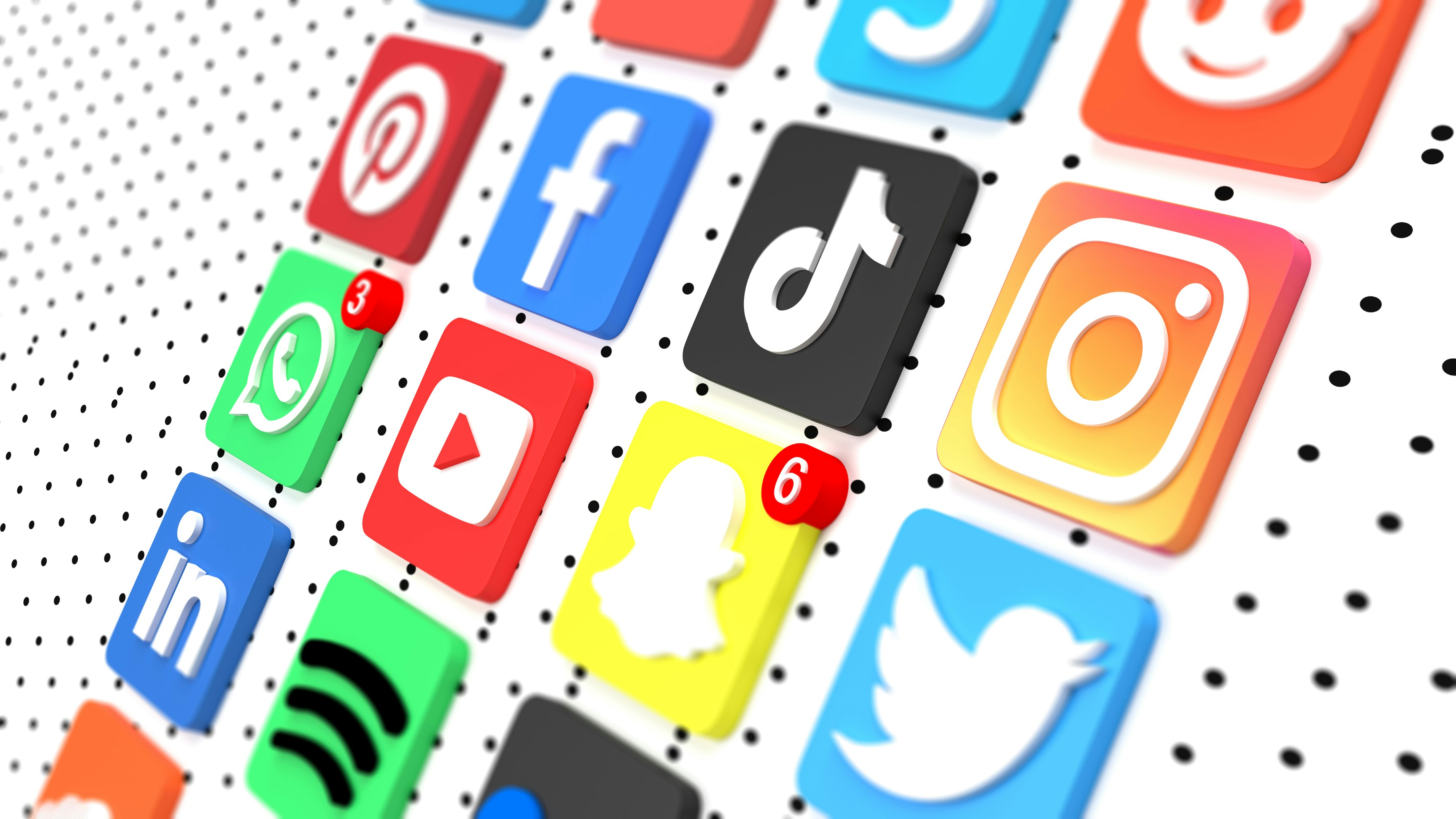 Social Search : comment optimiser vos Reels sur Instagram et TikTok ?